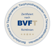 bvft